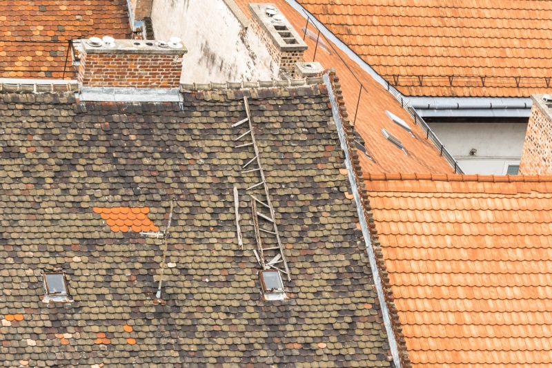 Best Roof Repair Contractors in Tampa, FL